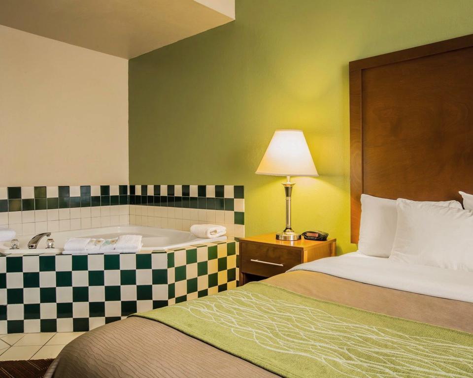 Inn Comfort Asheville Airport Fletcher