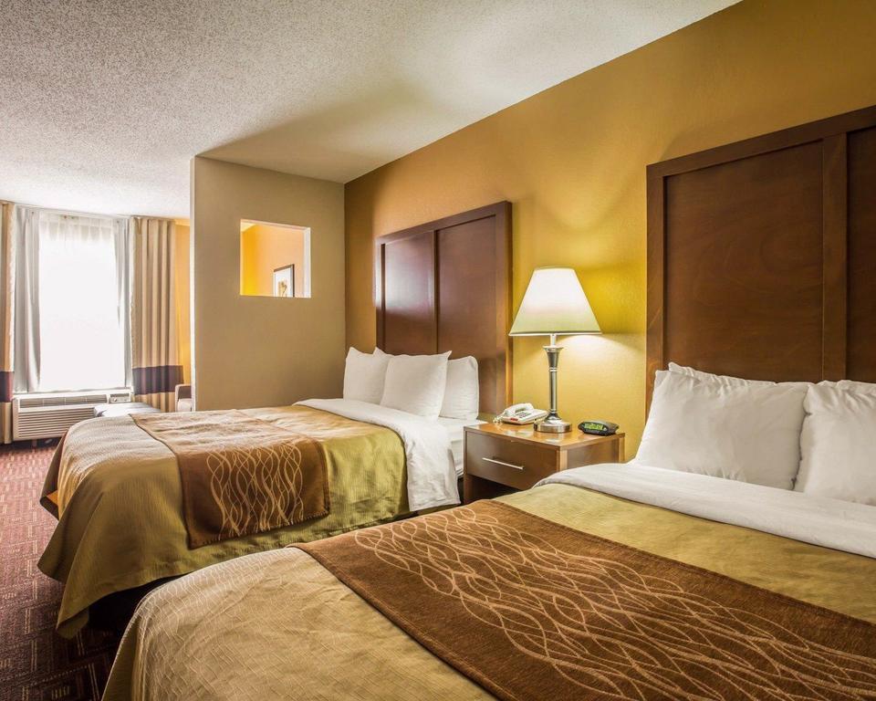 Comfort Asheville Airport Inn Fletcher
