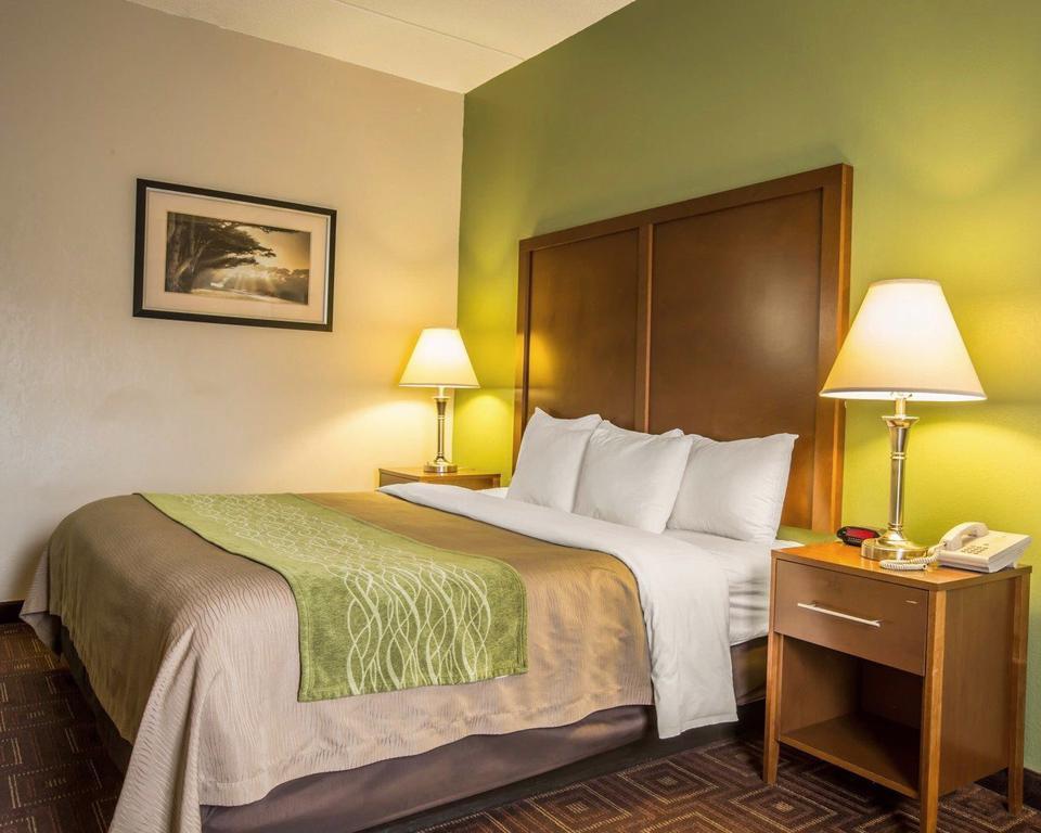 Comfort Asheville Airport Inn Fletcher