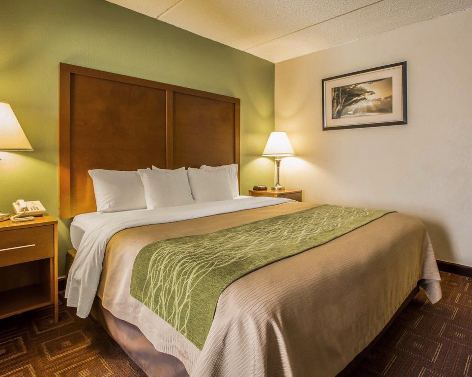 Comfort Asheville Airport Inn 2*
